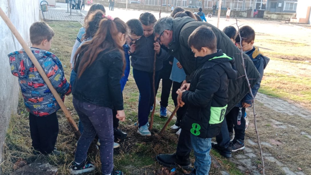 CUMHURİYET İLKOKULU: 'HER SINIFIN BİR FİDANI OLSUN'